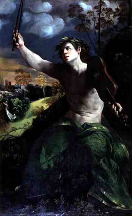 apollo daphne