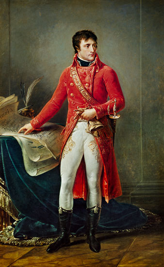 Napoleon Bonapartes Contributions