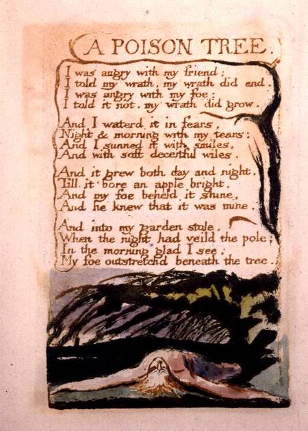 The lamb  the tyger by william blake   essay
