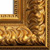 Currently selected frame LE ROI: gold 