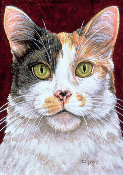 Marigold, 1997 (acrylic on panel)  from Ditz 