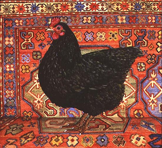 Black Carpet Chicken, 1995  from Ditz 