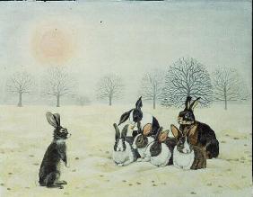 Winter-Rabbits