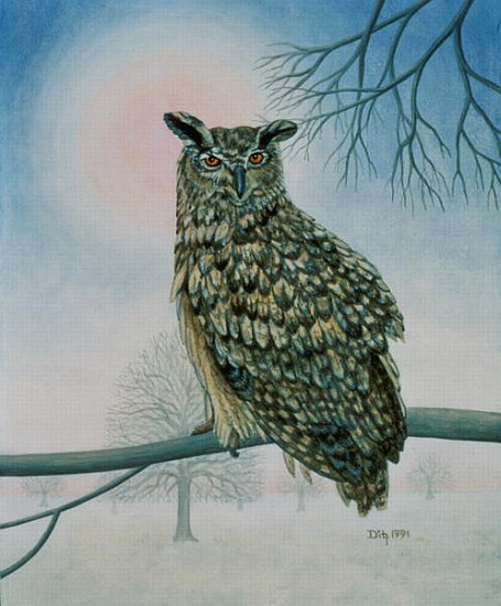 Winter-Owl  from Ditz 