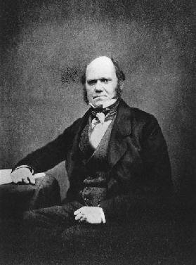 Portrait of Charles Darwin (1809-82) (b/w photo) 