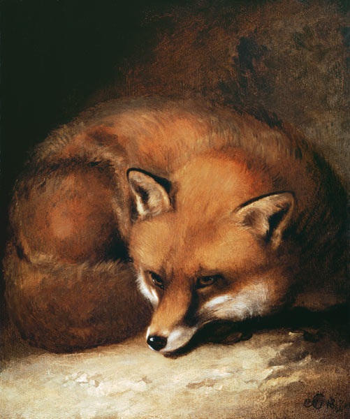 A Fox from Abraham Cooper