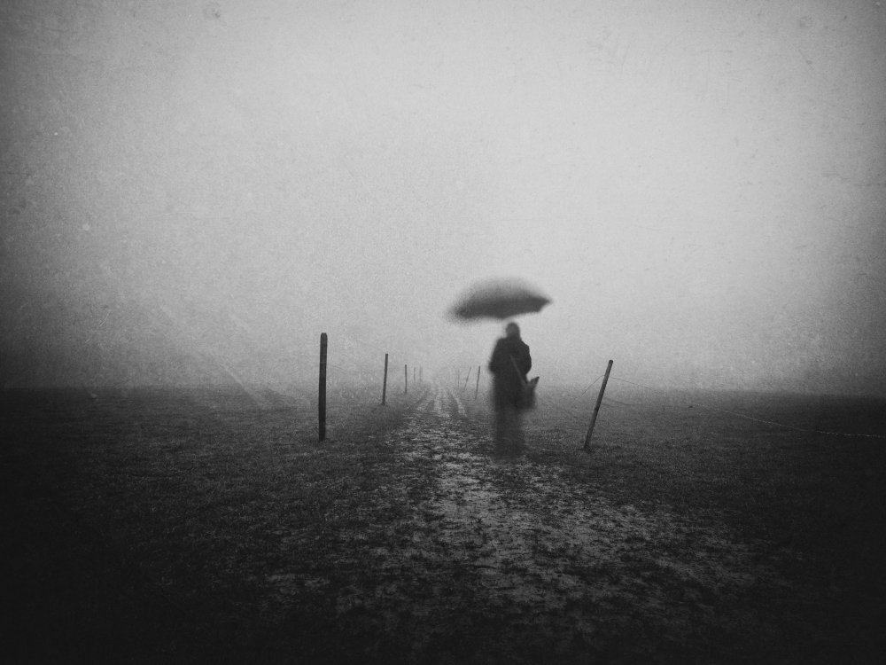 disappearing from Adam Dauria ☂
