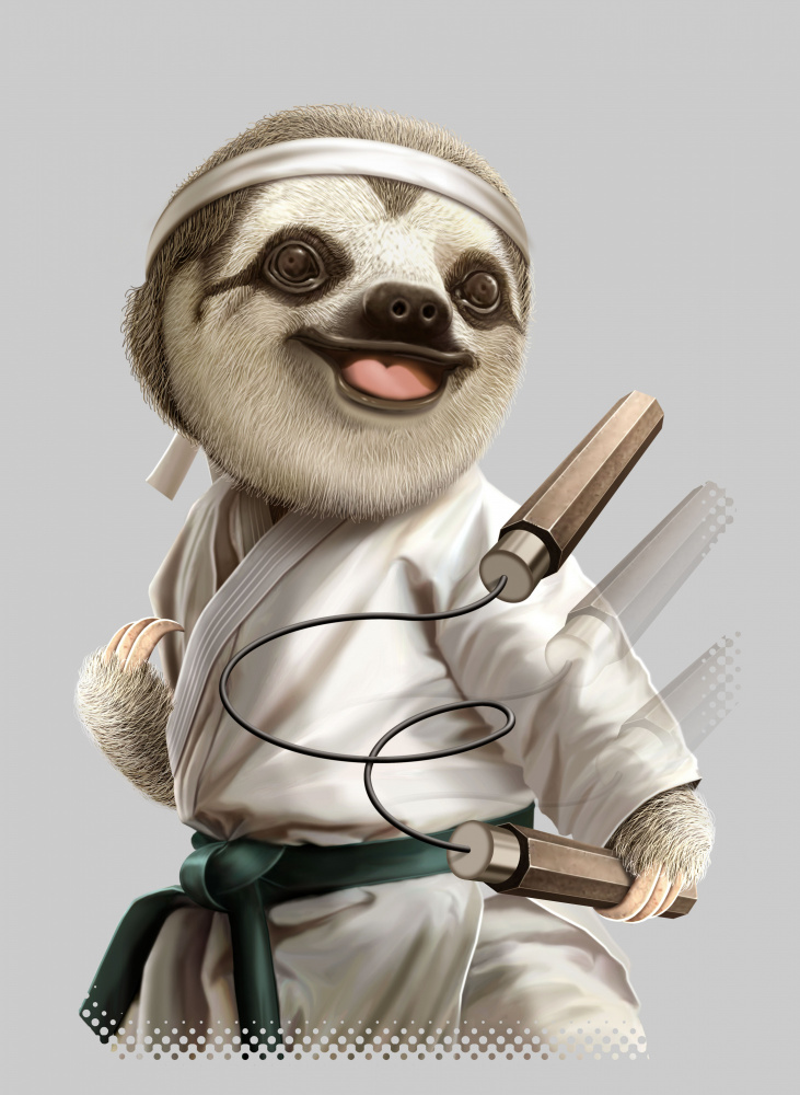 karate sloth from Adam Lawless