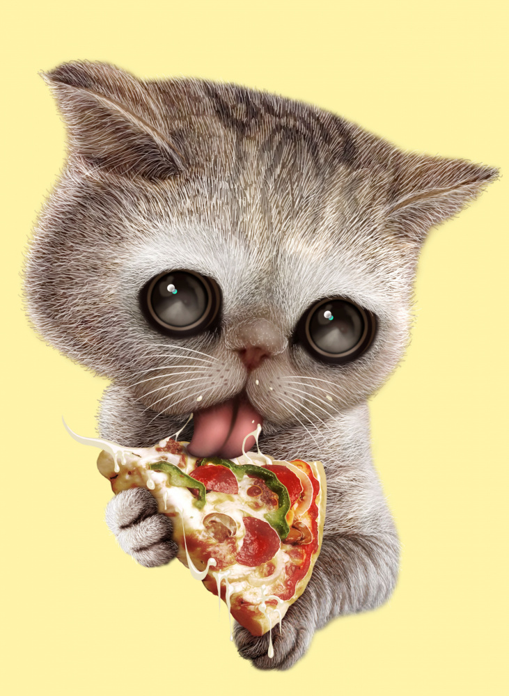 cat loves pizza from Adam Lawless