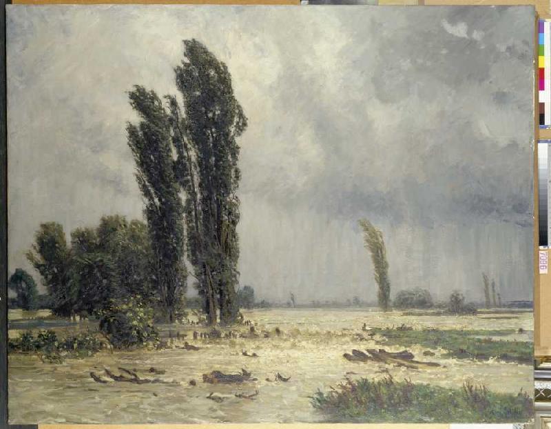 Inundation from Adolf Stäbli