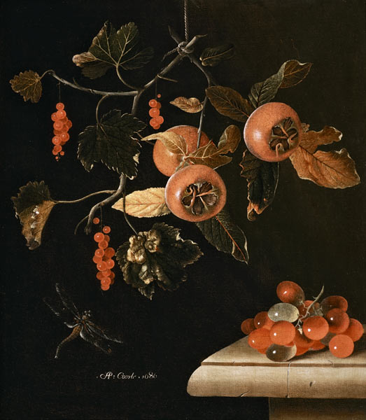 Still Life of Medlars, Redcurrants, Grapes and a Dragonfly from Adrian Coorte