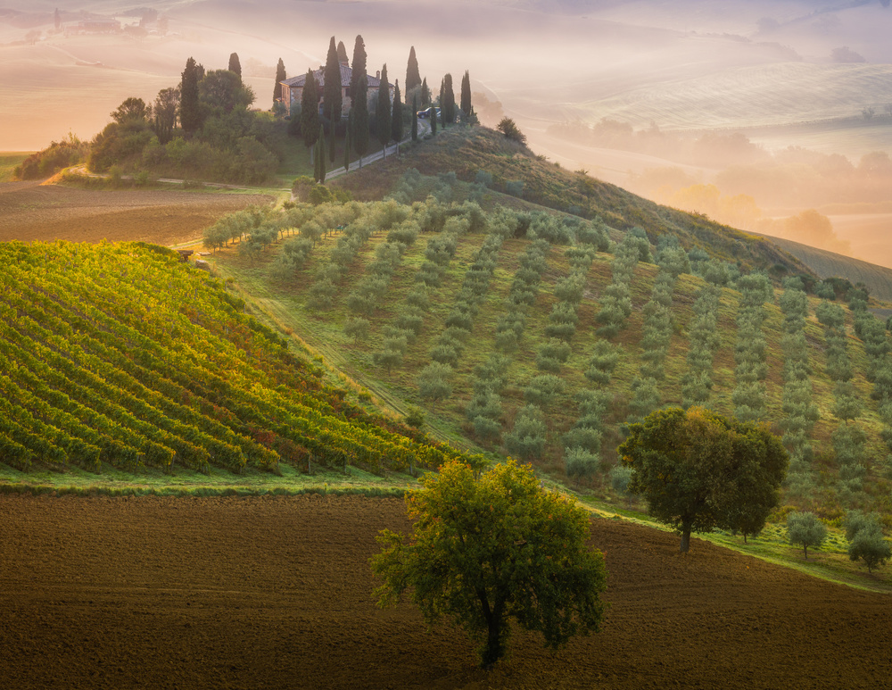 Tuscany from Adrian Popan