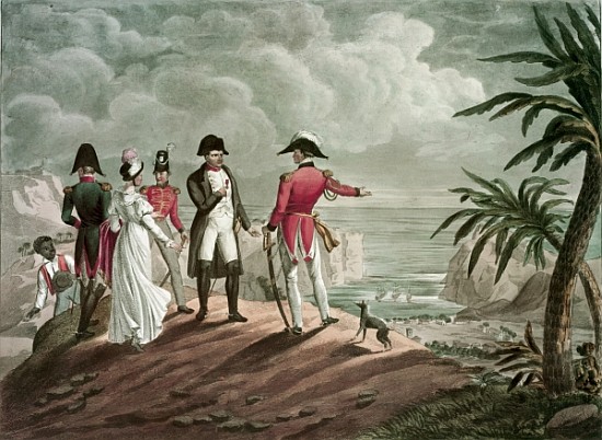 Bonaparte on St. Helena (steel engraving) from (after) Francois Martinet