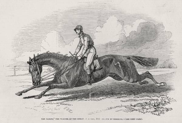 ''The Baron'', the winner of the Great St. Leger, from ''The Illustrated London News'', 27th Septemb from (after) John Frederick Herring Snr