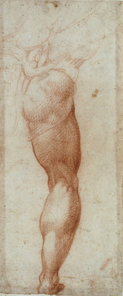 A.Allori, A Man s right Leg. from Agnolo Bronzino