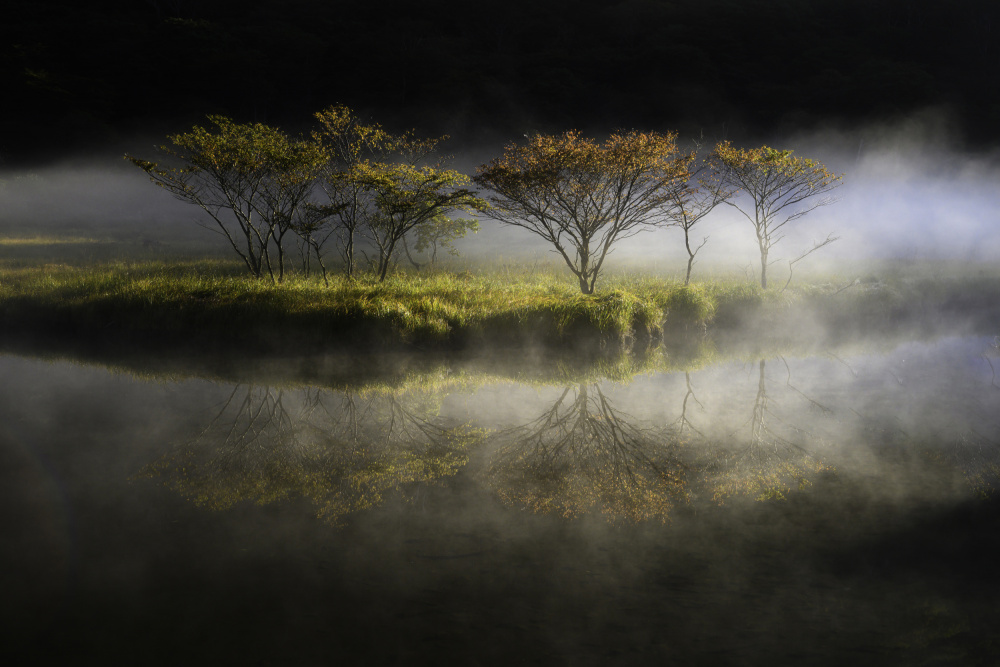 floating in the fog from Akira Nagase