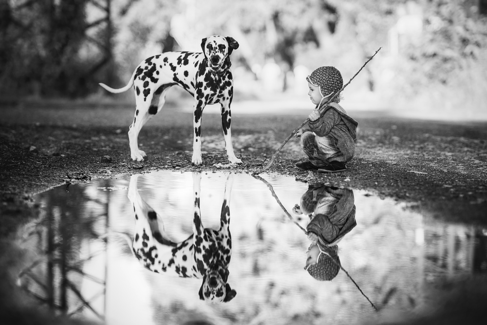 Little boy and dog in the park from Alan Hiller