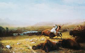 Indian on the buffalo hunting.