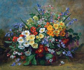 AB.130.Yellow, white and orange primulas with bluebells in a vase