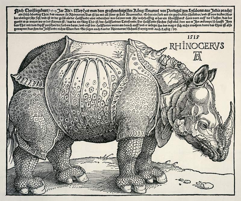 Rhinozeros from Albrecht Dürer
