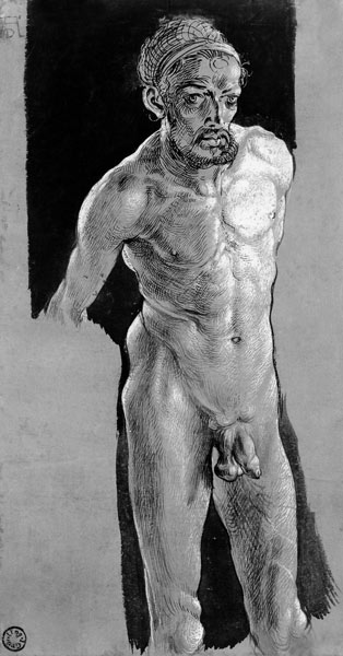 Albrecht Dürer / Nude Self-Portrait /C16 from Albrecht Dürer