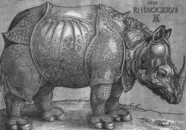 The Rhinoceros from Albrecht Dürer