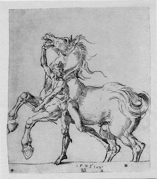 A.Dürer, Nude Man with Horse / 1525 from Albrecht Dürer