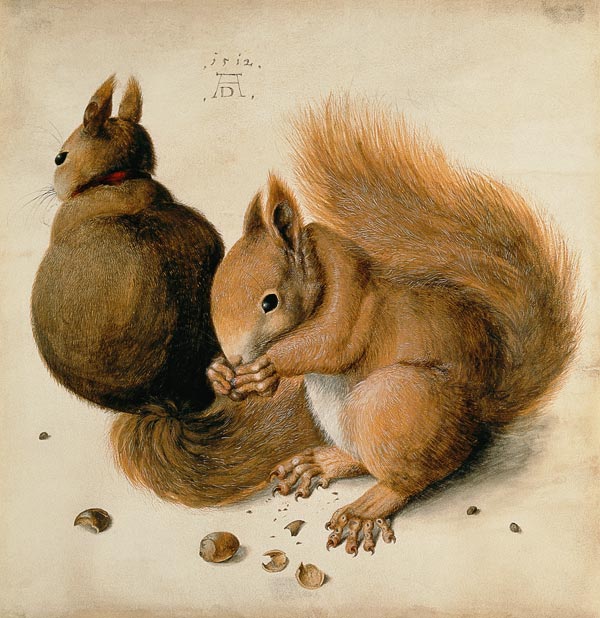Squirrels from Albrecht Dürer