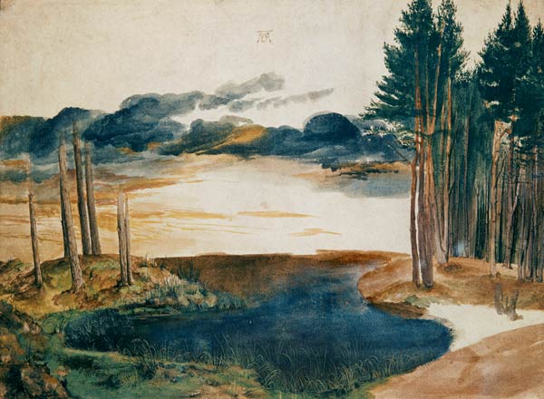 A pond in the woods from Albrecht Dürer