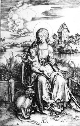 Mary with the guenon monkey / Dürer