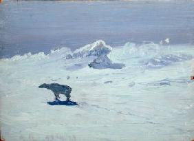 A Polar Bear Hunting in Moonlit Night