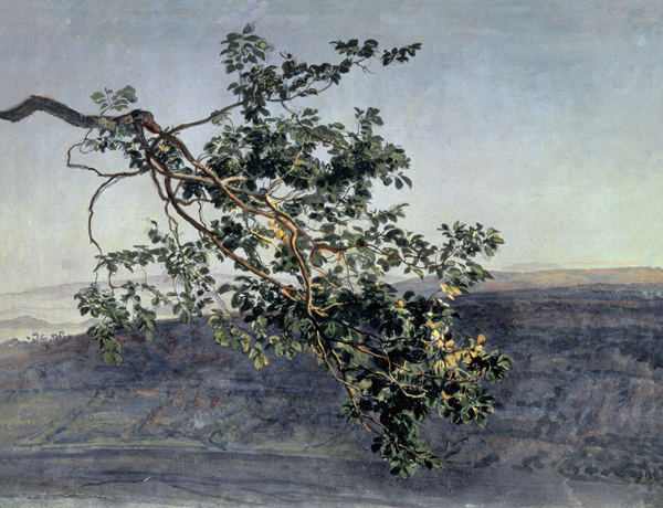 A branch from Alexander Andrejewitsch Iwanow
