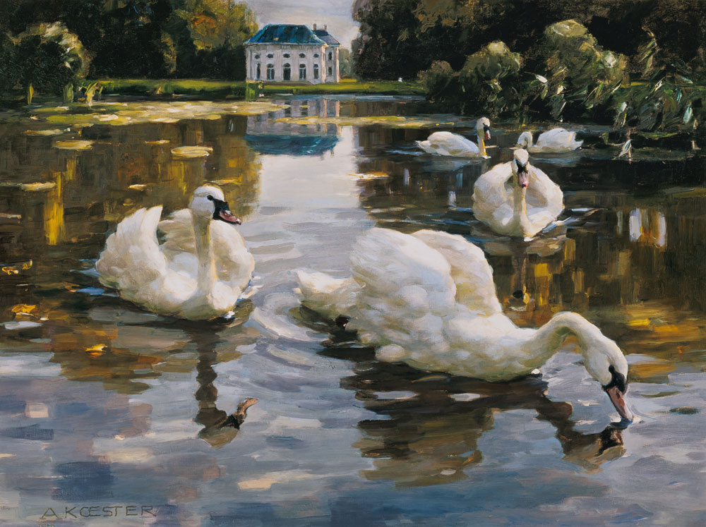 Swans in the Nymphenburger castle grounds from Alexander Koester