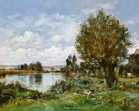 Rural river scene