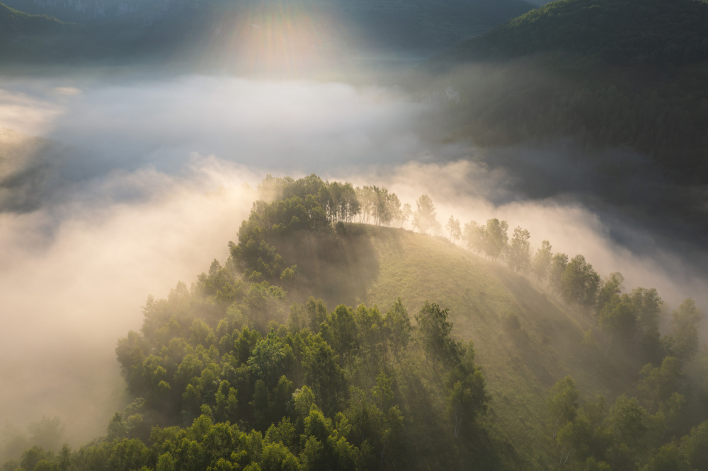 Above the foggy forest from Alexandru Ionut Coman