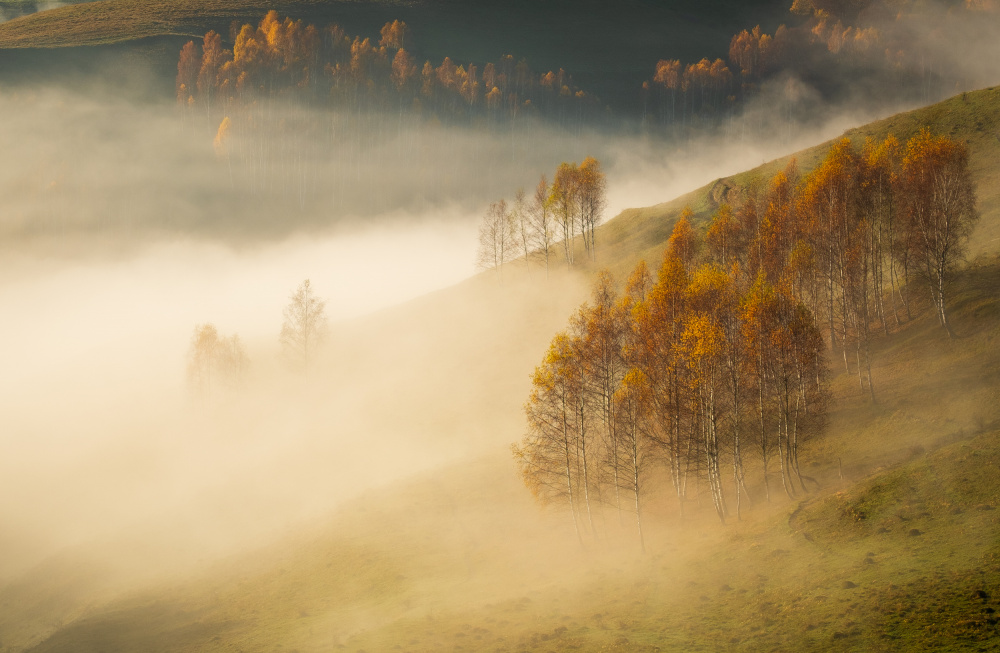 Autumn morning from Apuseni Mountains from Alexandru Pavel