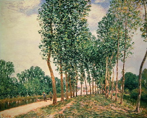 Banks of the Loing, near Moret (oil on canvas) from Alfred Sisley