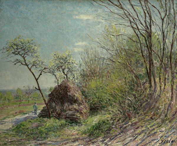 Sisley / Forest edge / c.1844 from Alfred Sisley