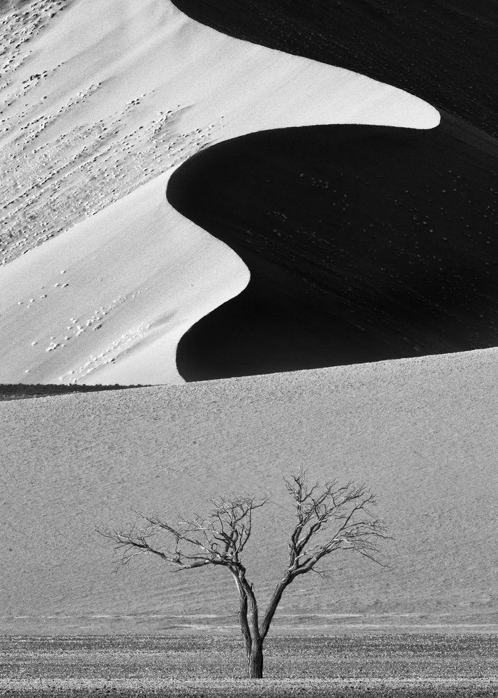 Dune Curves from Ali Khataw