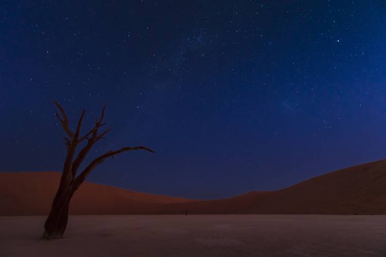 Stars and Dunes from Ali Khataw