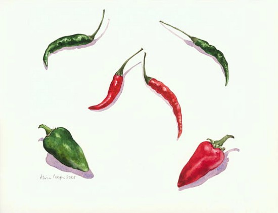 Chillies and Peppers, 2005 (w/c on paper)  from Alison  Cooper