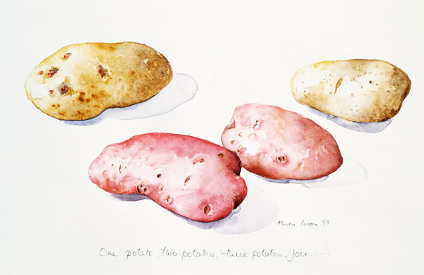 Potato Study, 1993 (w/c)  from Alison  Cooper