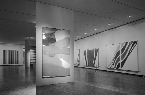 The Exhibition 'Form-Colour-Image', at the Detroit Institute of Arts from American Photographer