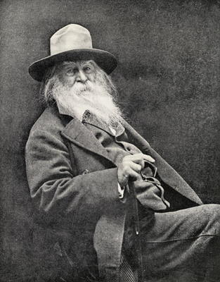 Walt Whitman (1819-91) (b/w photo) from American Photographer, (19th century)