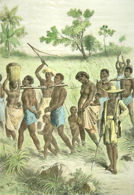 Africans captured for the slave trade (colour litho) from American School