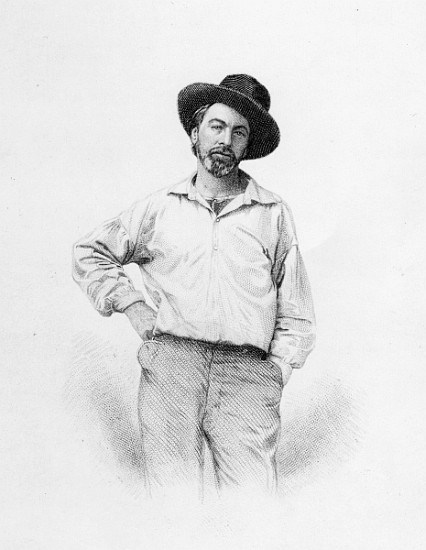 Walt Whitman, frontispiece to ''Leaves of Grass'' from American School