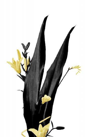 Flower Minimal Black and Gold 03