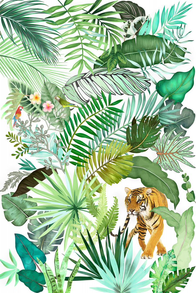Jungle Tiger 04 from amini54