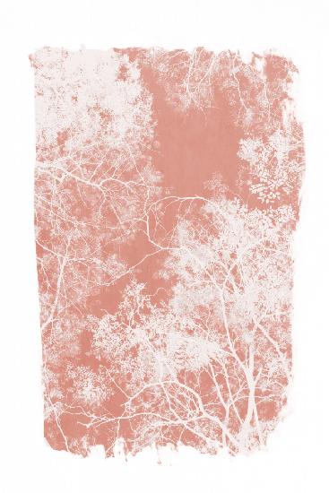 Pink Tree Foliage Silhouette