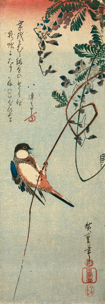 Schwalbe auf einem Ast einer Glyzinie sitzend. from Ando oder Utagawa Hiroshige